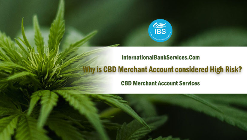 Why is CBD Merchant Account considered High Risk?